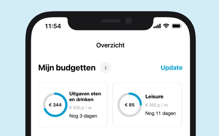 Budgets feature